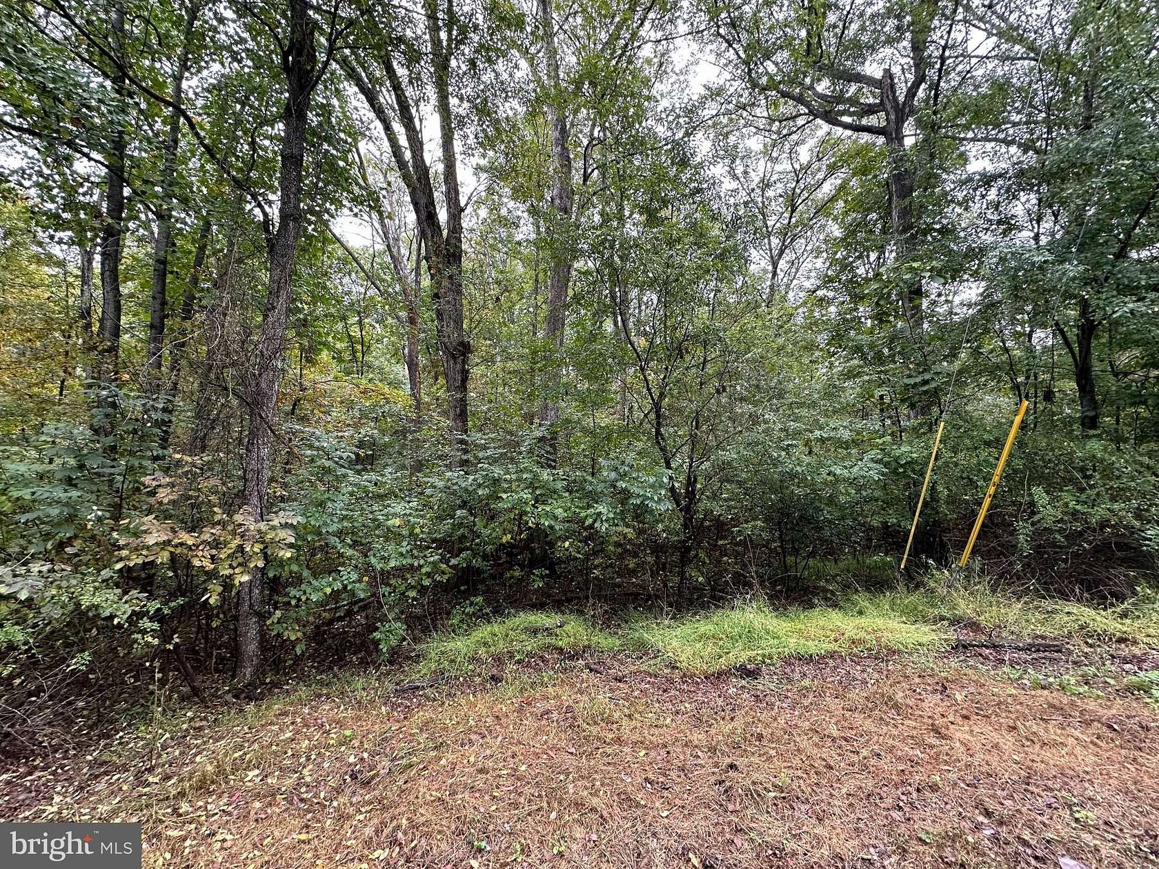 5 Acres of Land for Sale in Winchester, Virginia