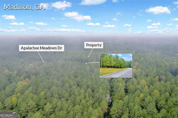 23.13 Acres of Recreational Land for Sale in Madison, Georgia