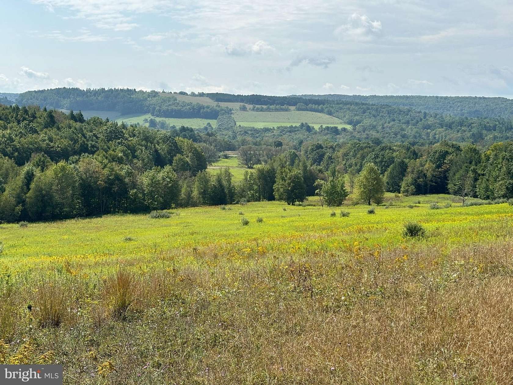 97.89 Acres of Land for Sale in Bigler, Pennsylvania