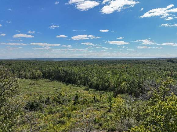 15.998 Acres of Land for Sale in Livingston, Texas