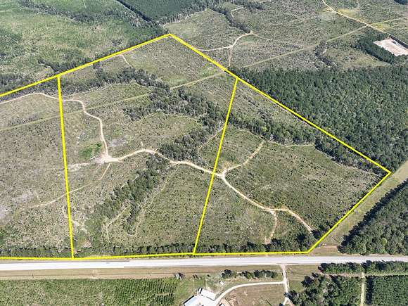 43 Acres of Agricultural Land for Sale in Woodville, Texas