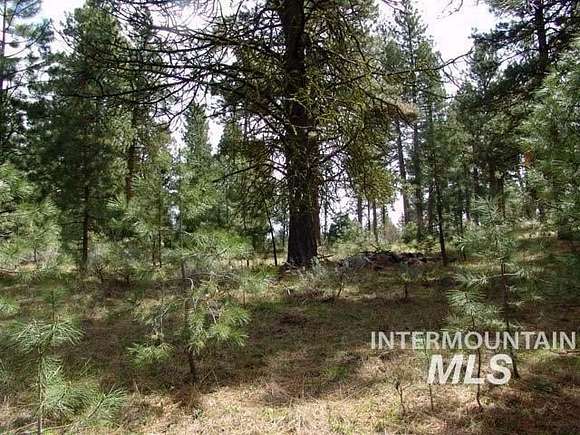 2.55 Acres of Land for Sale in Cascade, Idaho