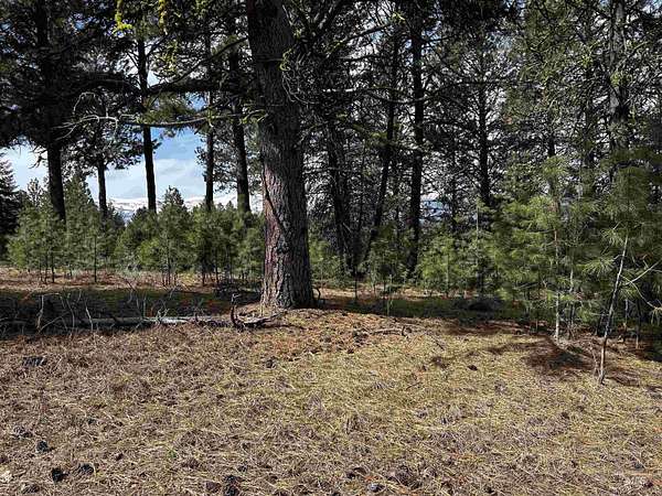 2.55 Acres of Residential Land for Sale in Cascade, Idaho