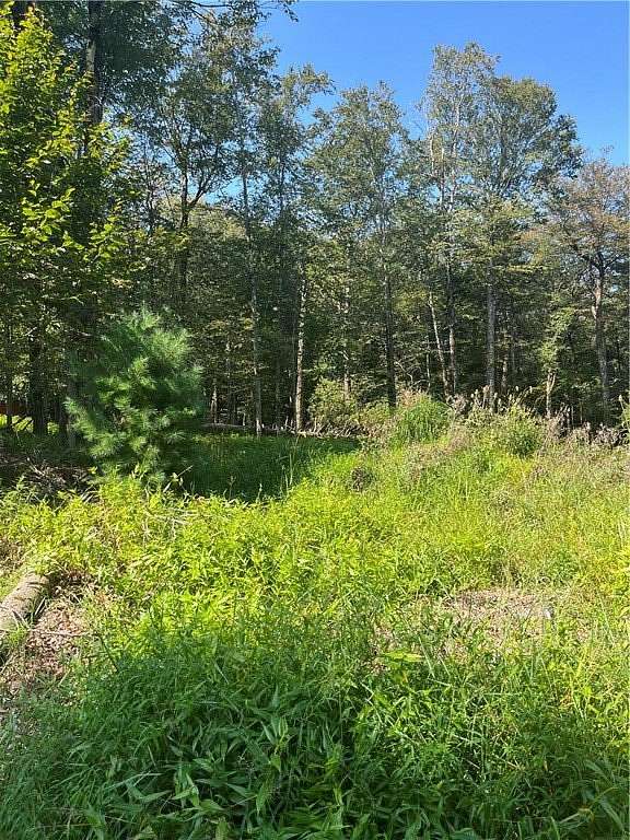 0.35 Acres of Residential Land for Sale in Thompson Town, New York