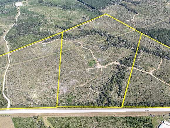 47 Acres of Agricultural Land for Sale in Woodville, Texas