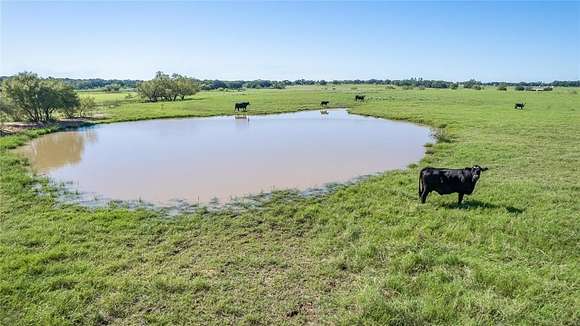 62.3 Acres of Agricultural Land for Sale in De Leon, Texas