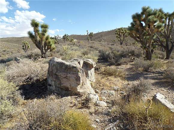 20 Acres of Land for Sale in White Hills, Arizona