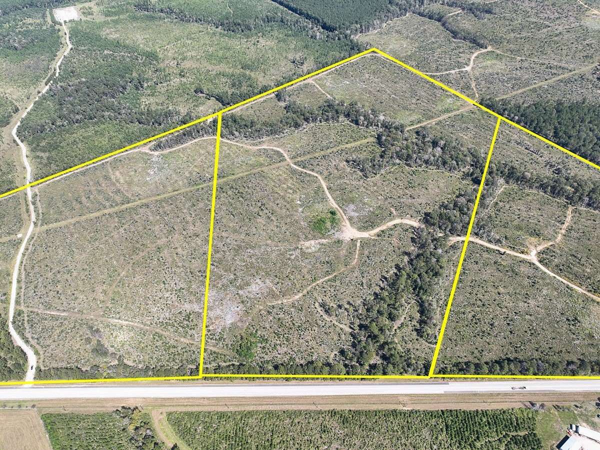 80 Acres of Agricultural Land for Sale in Woodville, Texas