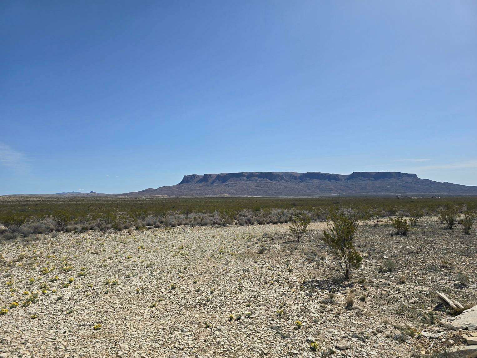 20 Acres of Land for Sale in Terlingua, Texas