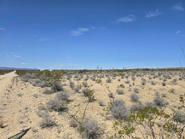 20 Acres of Land for Sale in Terlingua, Texas