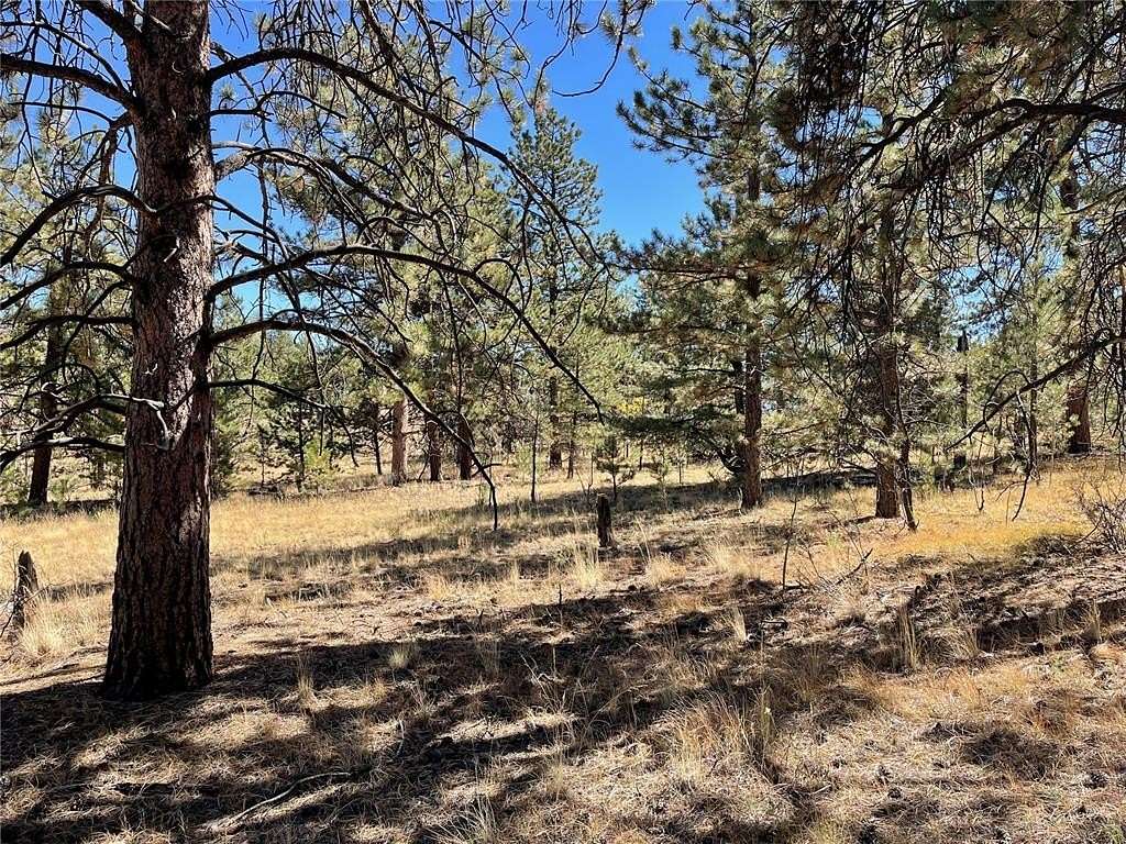 2 Acres of Residential Land for Sale in Hartsel, Colorado