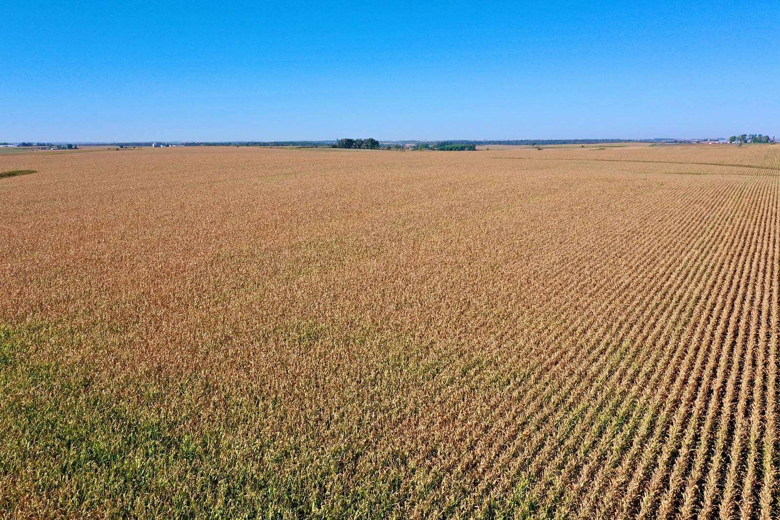 156 Acres of Agricultural Land for Auction in Jackson Junction, Iowa