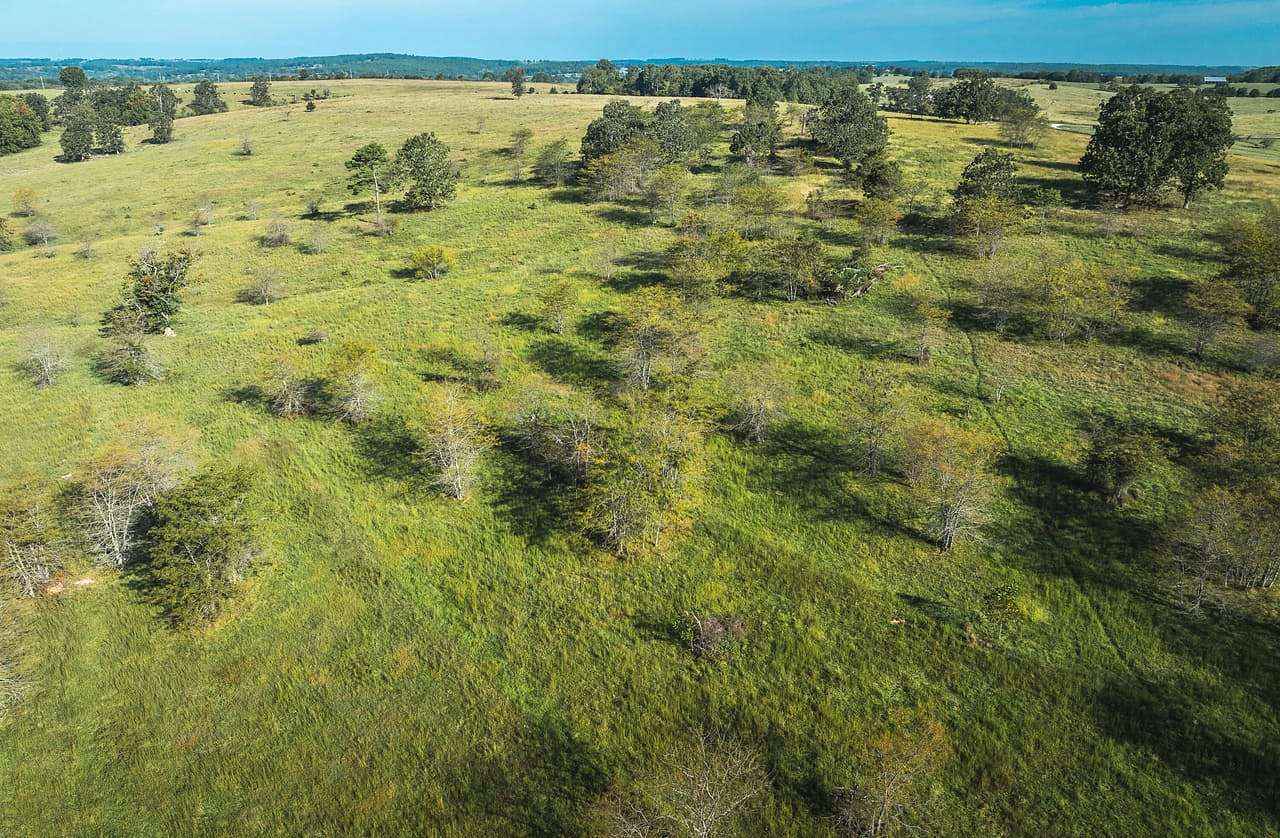 806 Acres of Land for Sale in Cabool, Missouri
