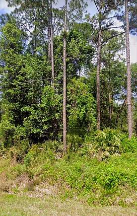 0.23 Acres of Residential Land for Sale in Georgetown, Florida