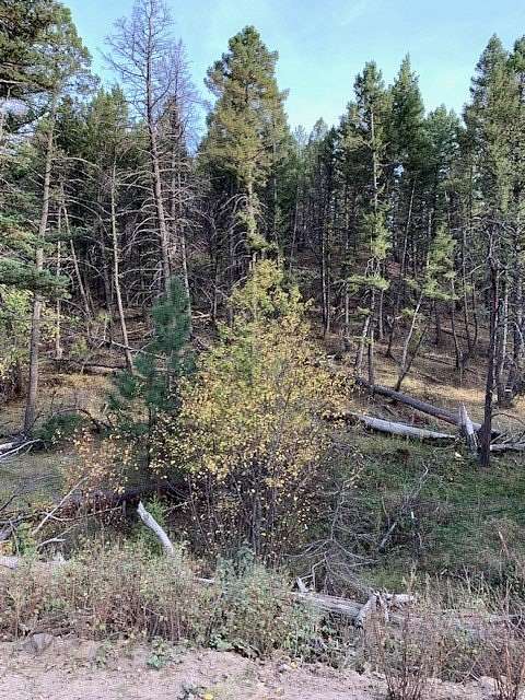 10 Acres of Land for Sale in Montana City, Montana