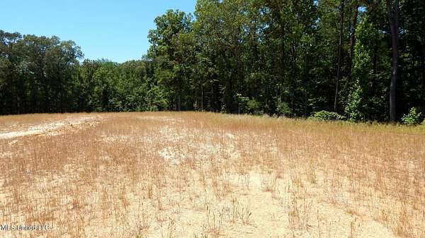 8.12 Acres of Residential Land for Sale in Grenada, Mississippi