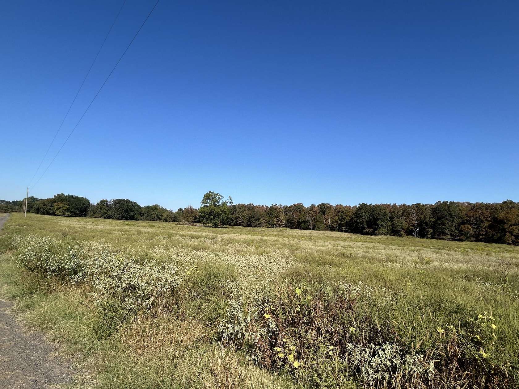 49.18 Acres of Agricultural Land for Sale in Dardanelle, Arkansas