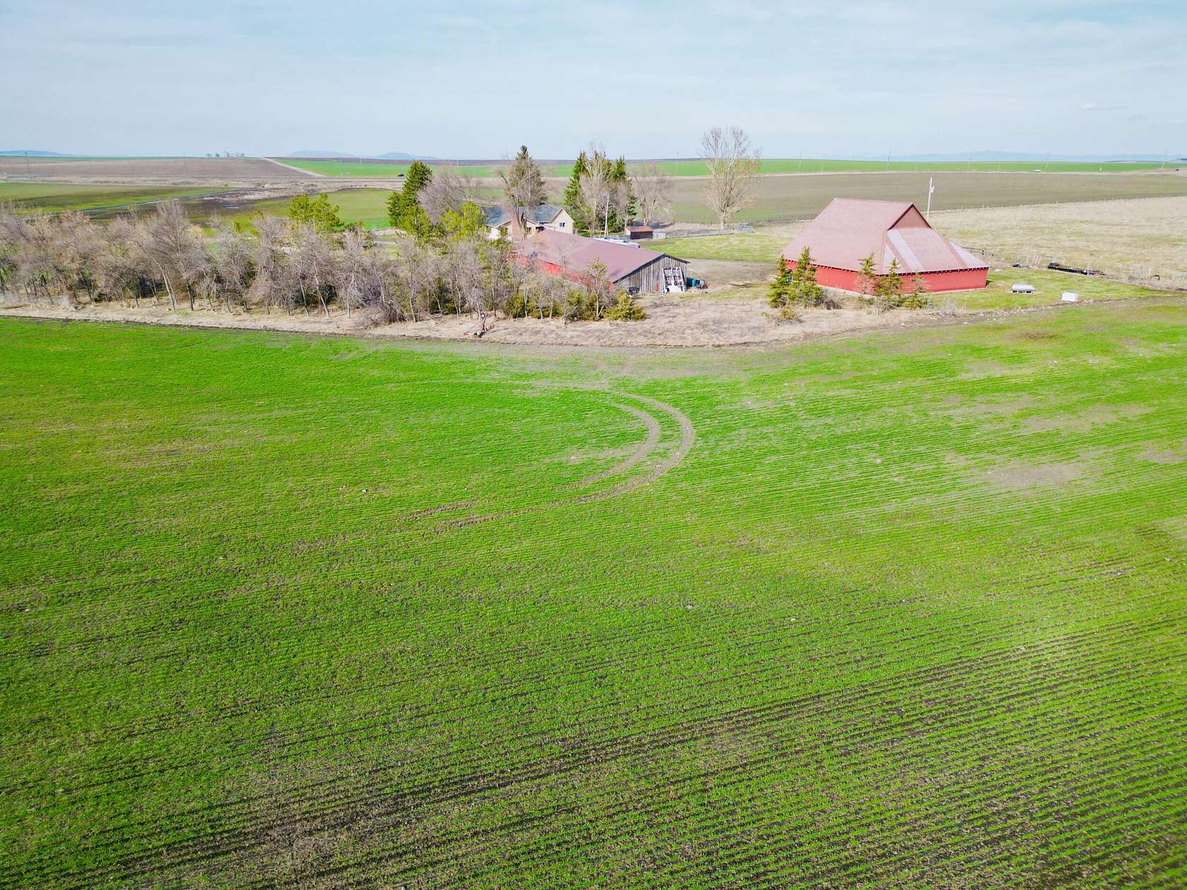 81.2 Acres of Agricultural Land with Home for Sale in Grangeville, Idaho