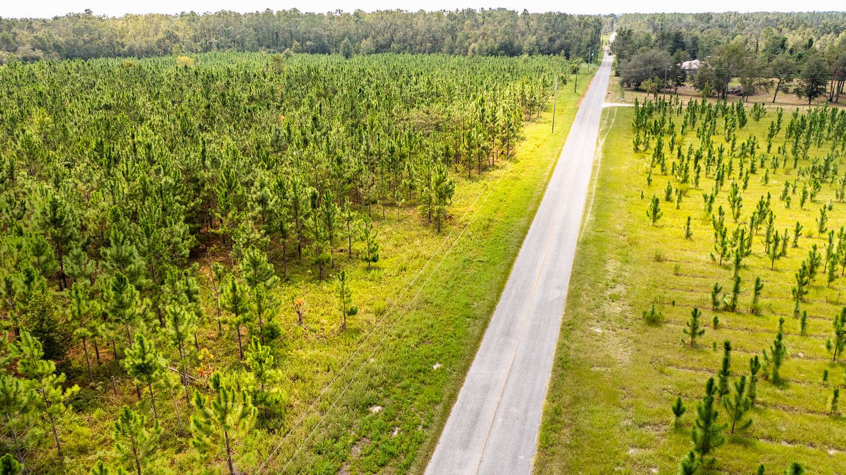 40 Acres of Land for Sale in Live Oak, Florida