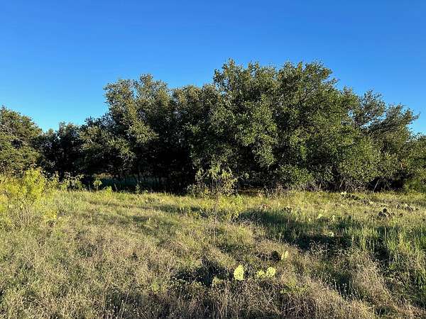 0.29 Acres of Residential Land for Sale in Brownwood, Texas