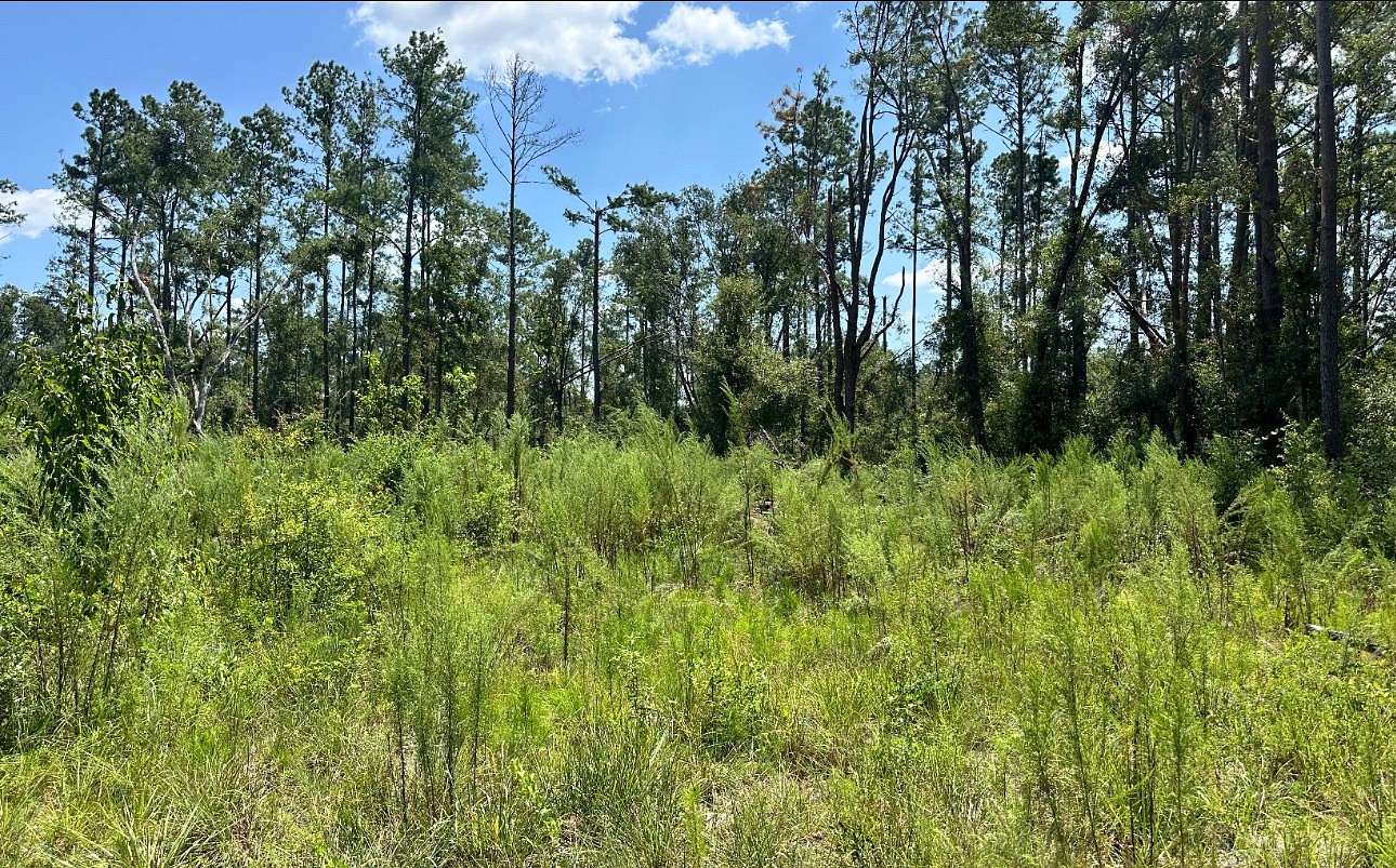 0.25 Acres of Land for Sale in Live Oak, Florida