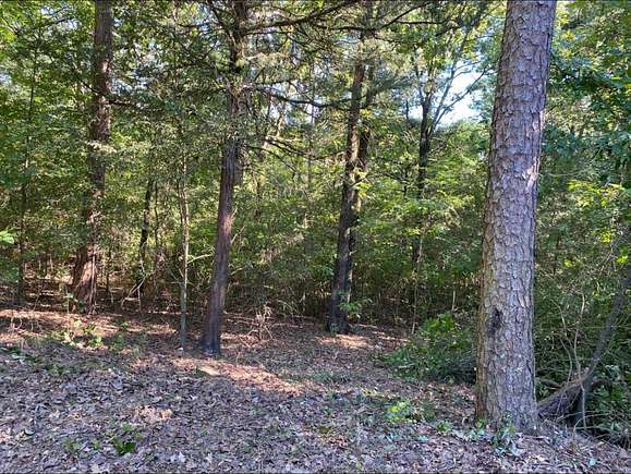 0.58 Acres of Residential Land for Sale in Russellville, Arkansas