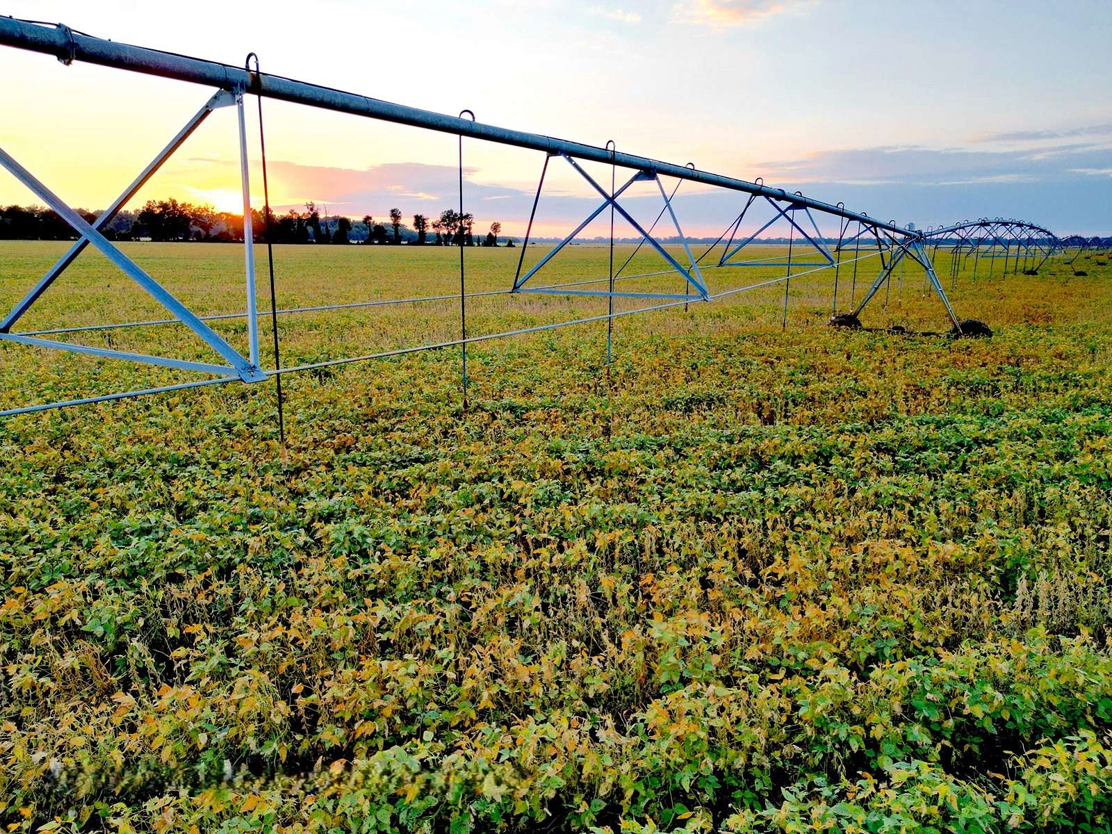 1,478 Acres of Recreational Land & Farm for Sale in Tallulah, Louisiana