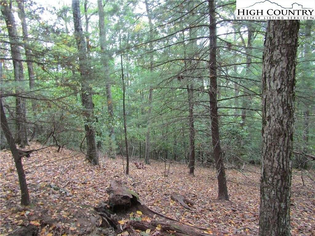 1.99 Acres of Land for Sale in McGrady, North Carolina