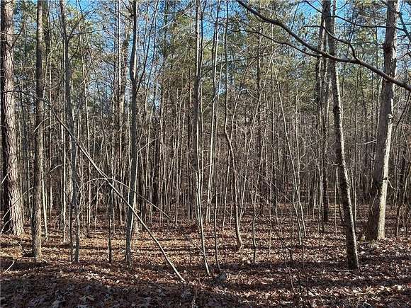 42.01 Acres of Land for Sale in Dawsonville, Georgia