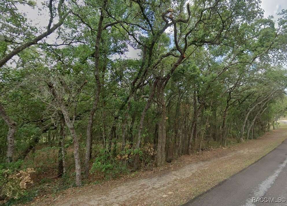 1.05 Acres of Land for Sale in Lecanto, Florida