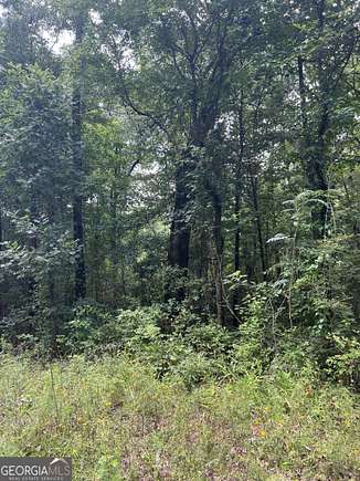 7.61 Acres of Land for Sale in Covington, Georgia