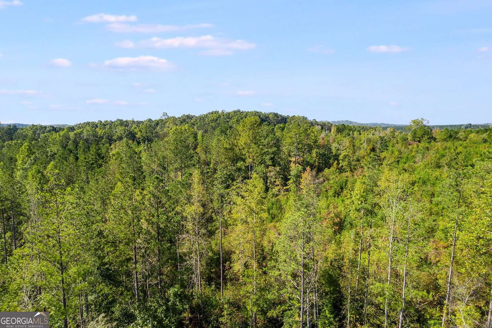 10.02 Acres of Land for Sale in Muscadine, Alabama