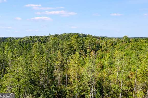 10.02 Acres of Land for Sale in Muscadine, Alabama