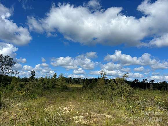 60 Acres of Agricultural Land for Sale in Blackstock, South Carolina