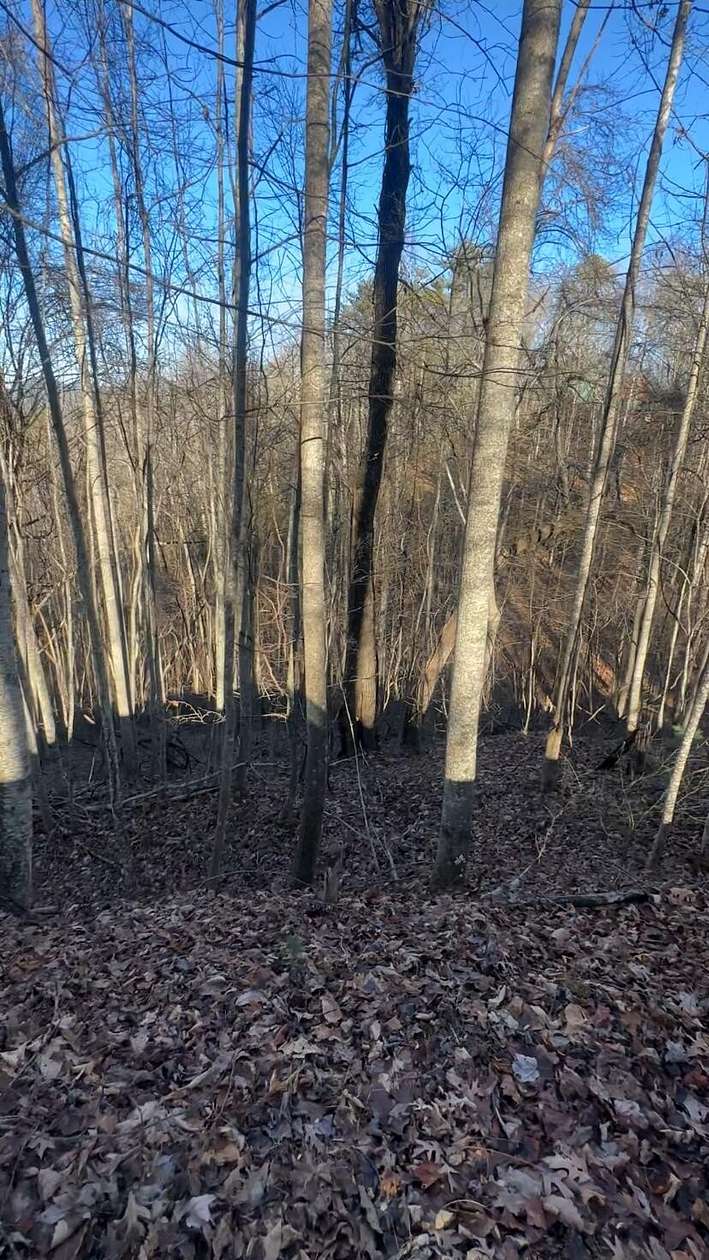 6.44 Acres of Residential Land for Sale in Hartford, Tennessee