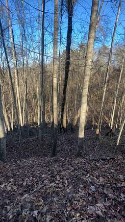 6.44 Acres of Residential Land for Sale in Hartford, Tennessee