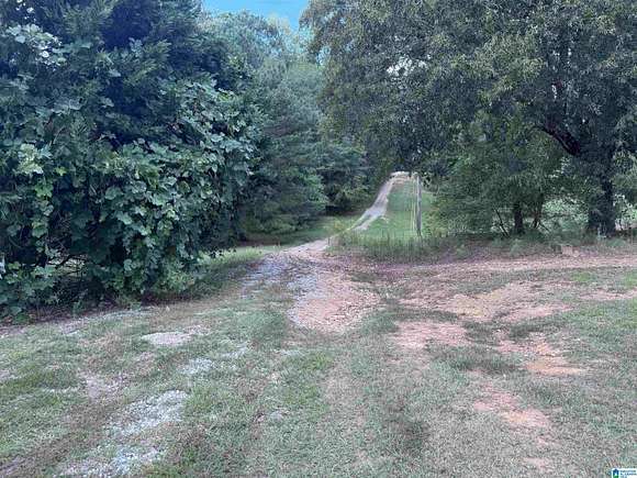 13 Acres of Land for Sale in Chelsea, Alabama