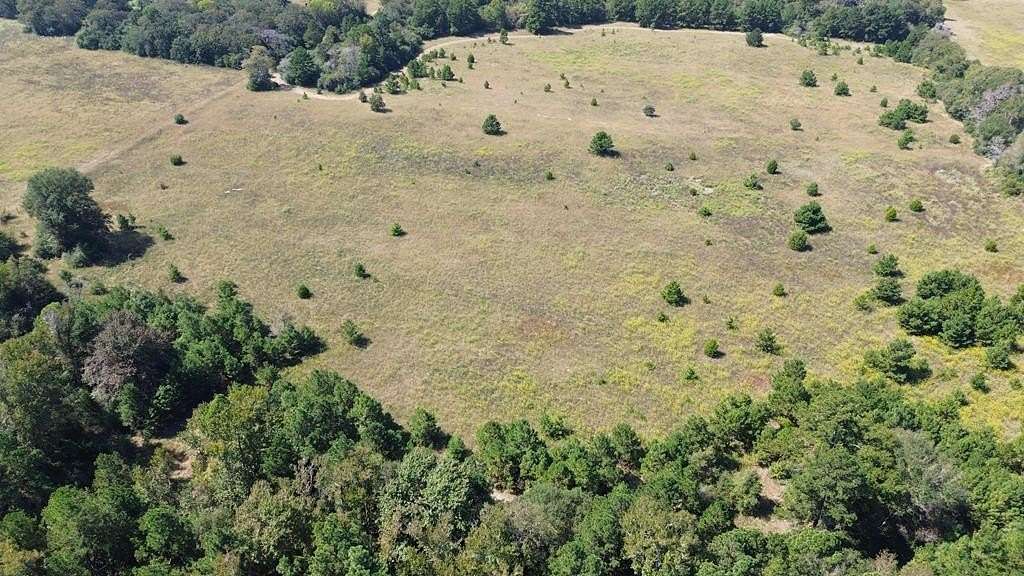 49.23 Acres of Land for Sale in Grapeland, Texas