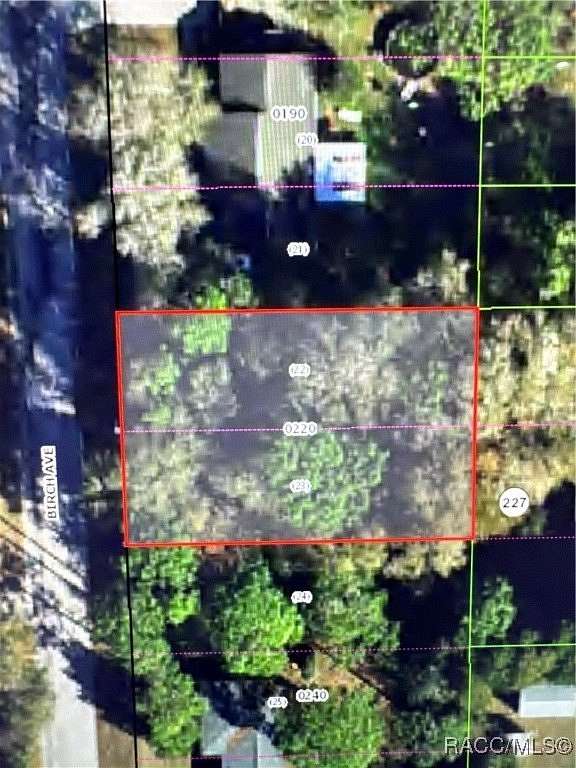 0.22 Acres of Residential Land for Sale in Inverness, Florida