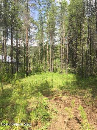 6.69 Acres of Residential Land for Sale in Priest River, Idaho