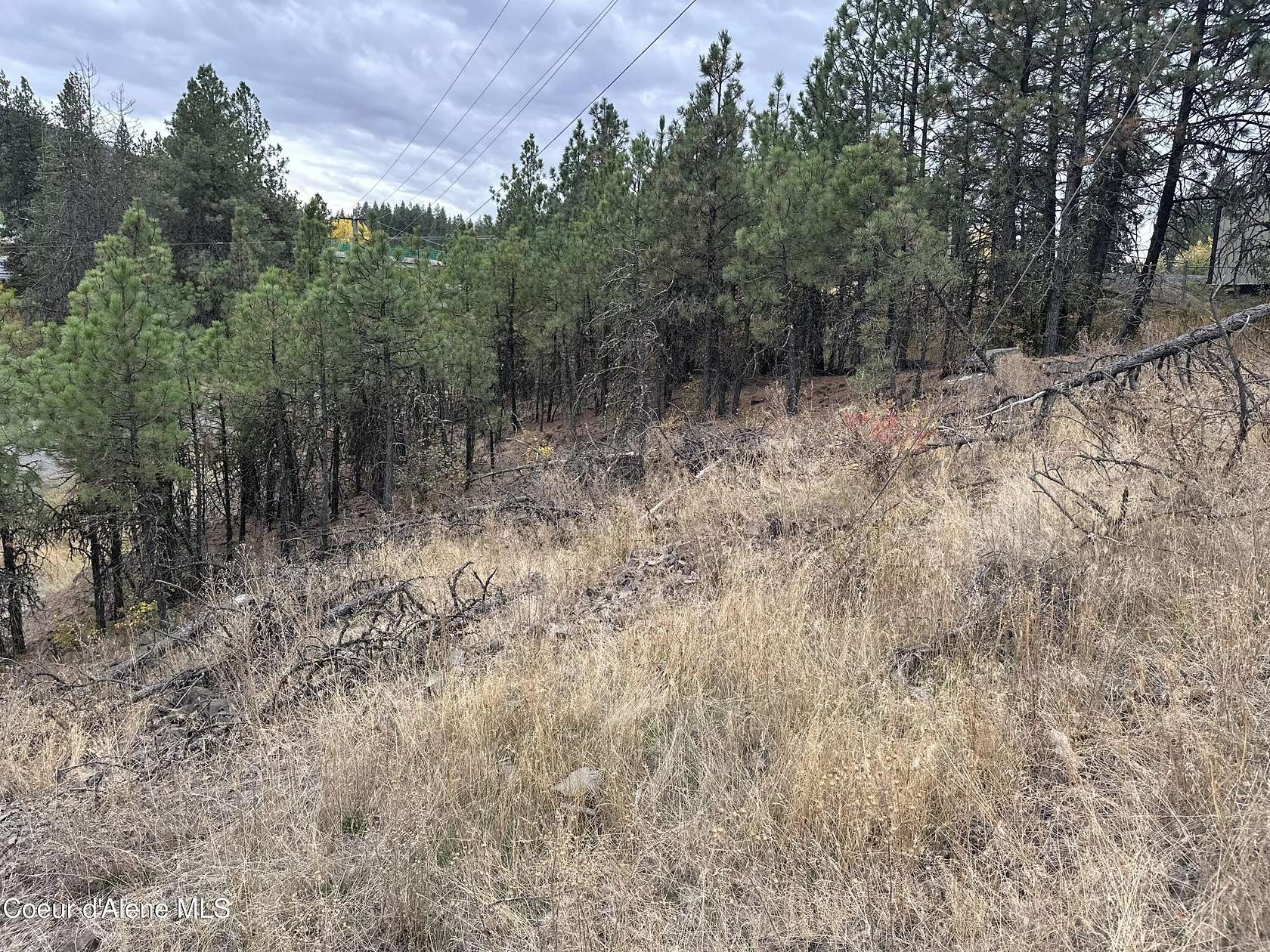 0.16 Acres of Land for Sale in Plummer, Idaho