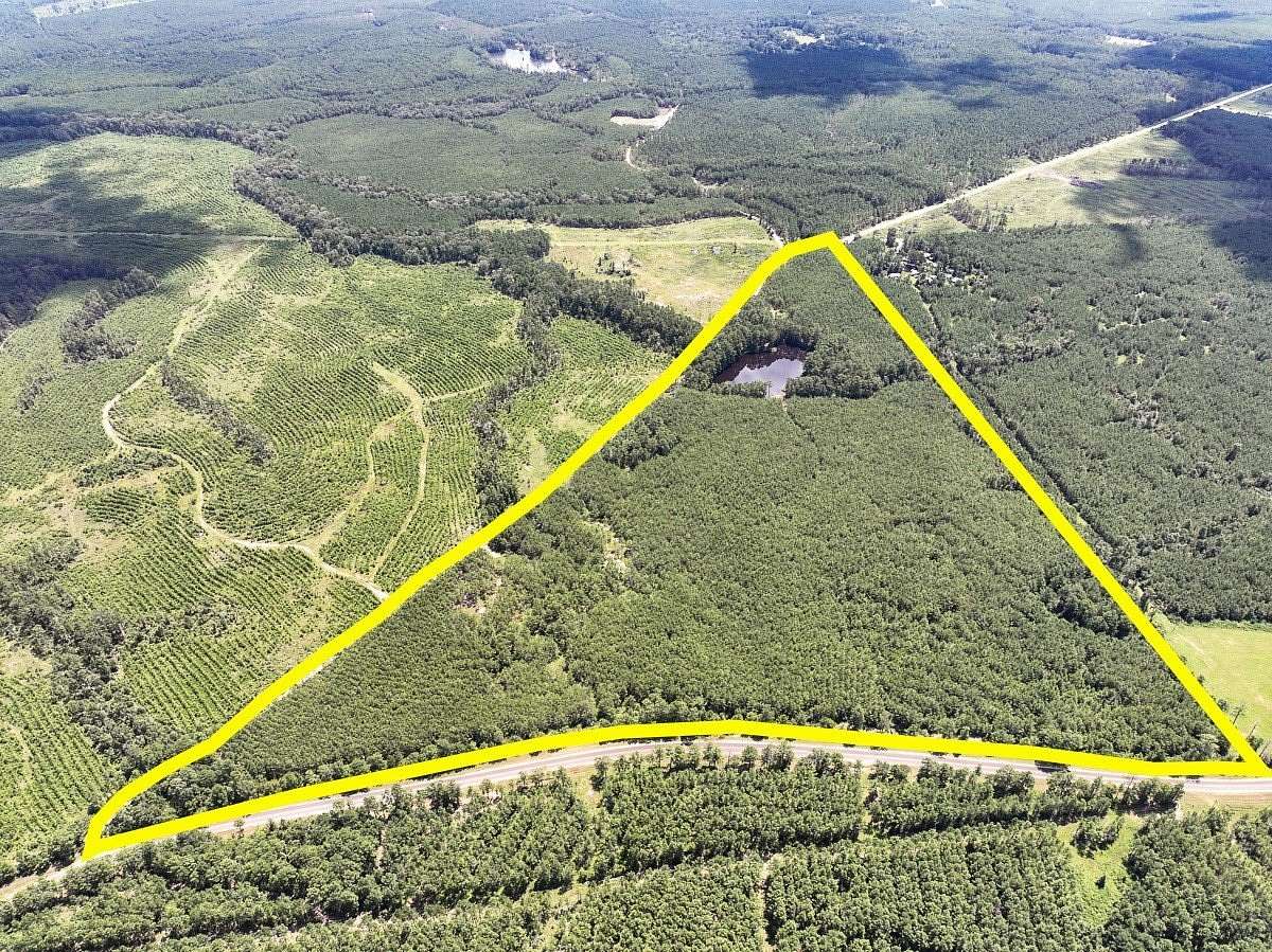 61.2 Acres of Recreational Land for Sale in Corrigan, Texas