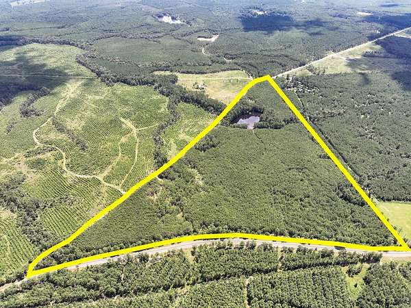 61.2 Acres of Recreational Land for Sale in Corrigan, Texas