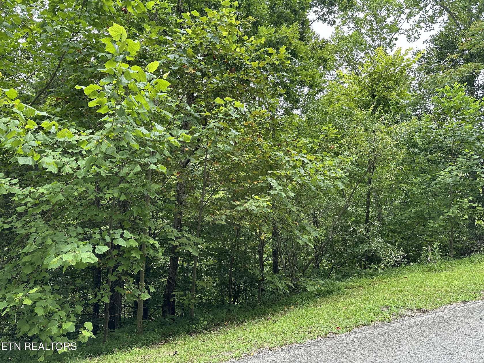 0.29 Acres of Residential Land for Sale in Caryville, Tennessee