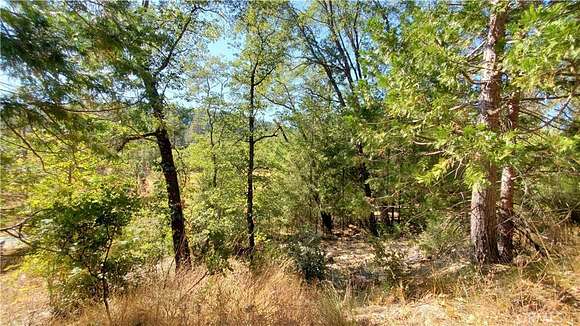 0.21 Acres of Residential Land for Sale in Loch Lomond, California