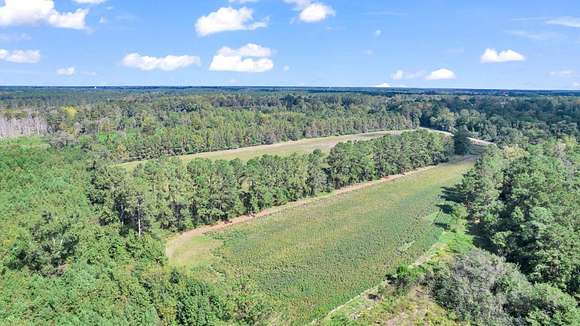 88.61 Acres of Land for Sale in St. George, South Carolina