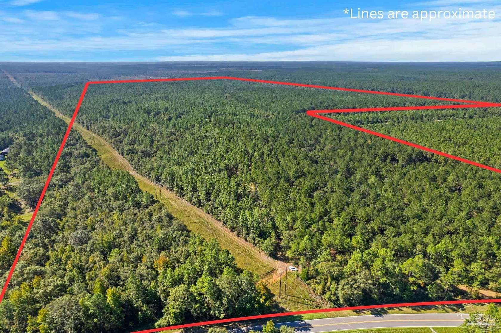 279 Acres of Recreational & Residential Land for Sale in Walnut Hill, Florida