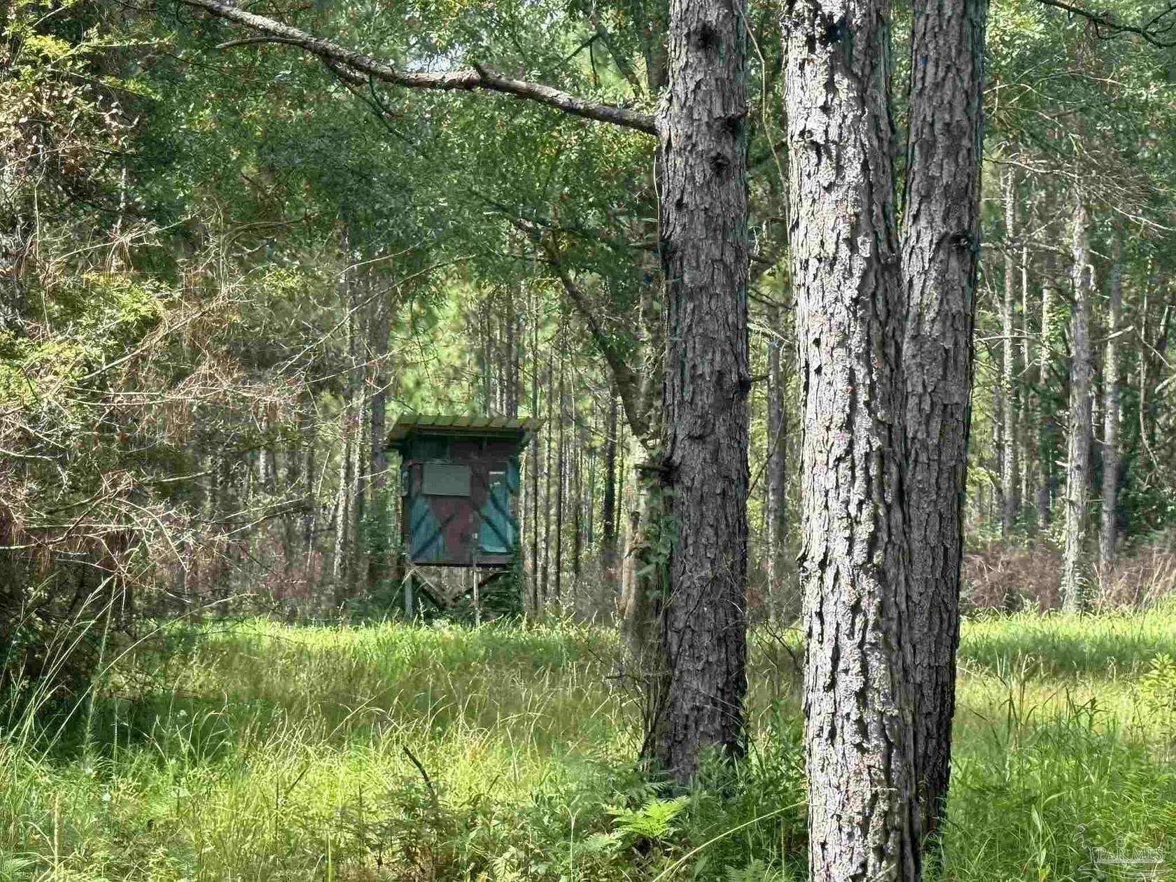 279 Acres of Recreational & Residential Land for Sale in Walnut Hill, Florida