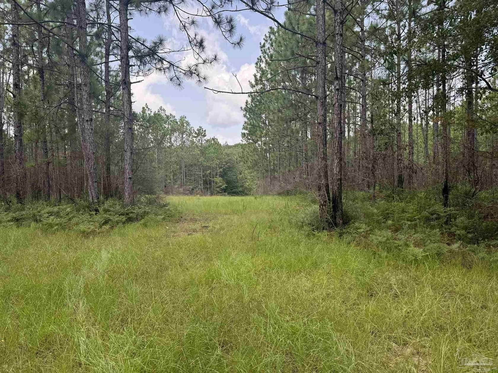 279 Acres of Recreational & Residential Land for Sale in Walnut Hill, Florida