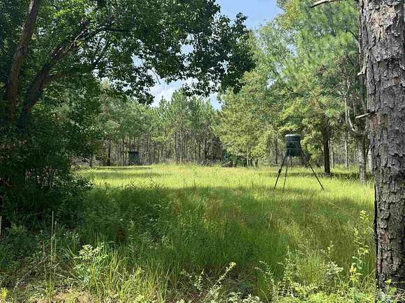 278.591 Acres of Recreational Land for Sale in Walnut Hill, Florida